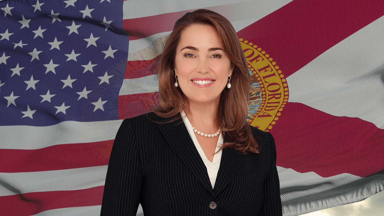 Deb Adeimy for Congress campaign image